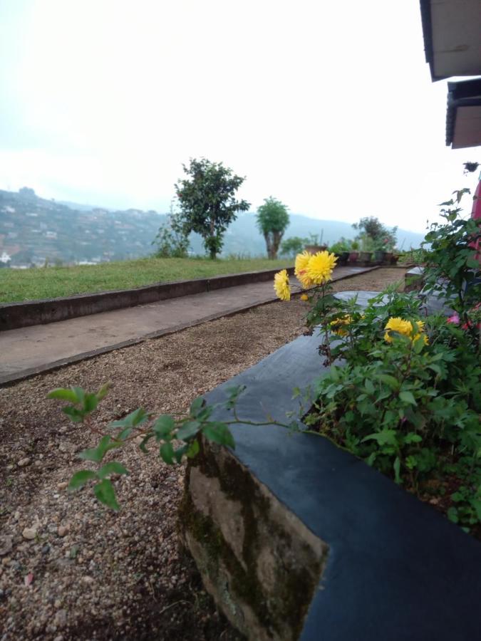 Mount View Cottage Nuwara Eliya Extérieur photo